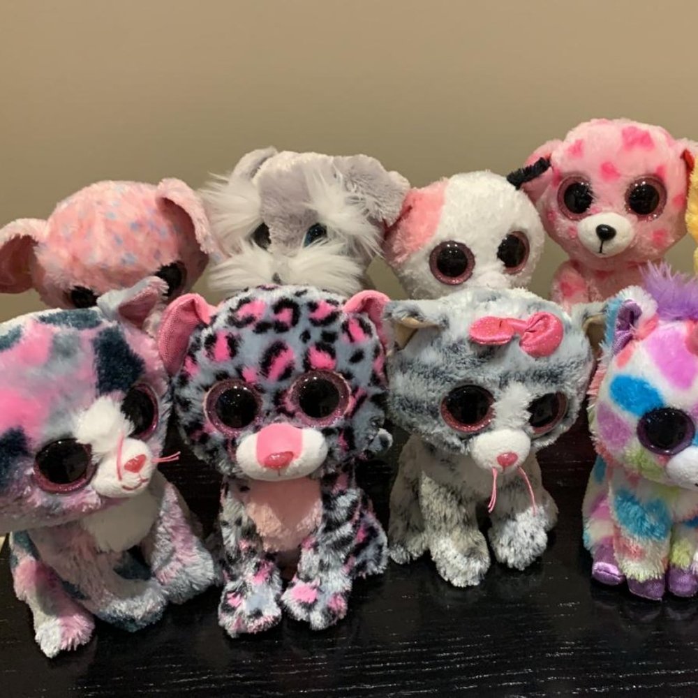 Beanie boo bundle